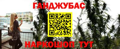 шишки Жуковский