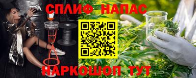 шишки Жуковский