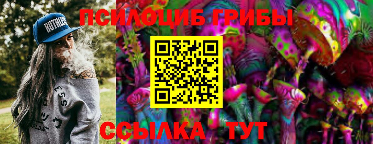 Пенза  Галлюциногенные грибы Cubensis  закладки  Вход с VPN 
