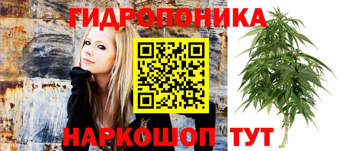 Шишки марихуана план Пенза